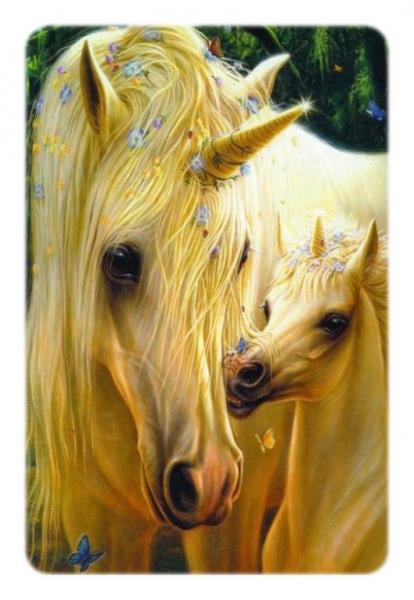 The Unicorns