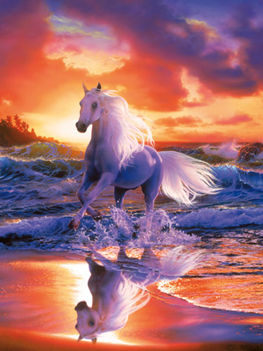 Cheval de la Chance