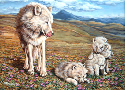 Louve blanche et ses petits