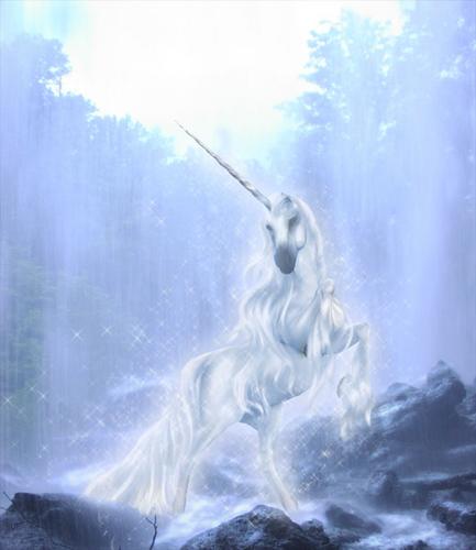 Licorne