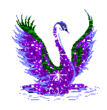 Gif Cygne