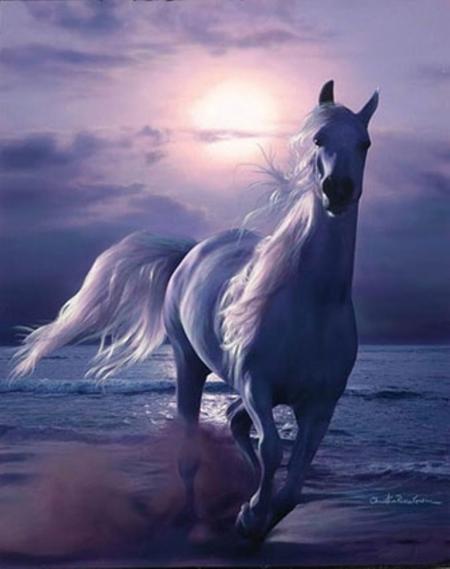 Le cheval venu de la Mer