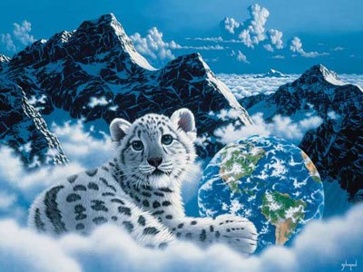 Bébé panthère des neiges