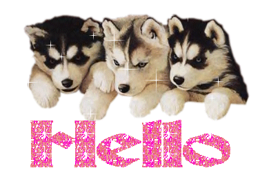 Gif Hello