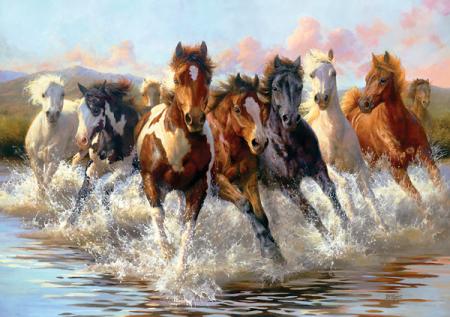 Les Mustangs