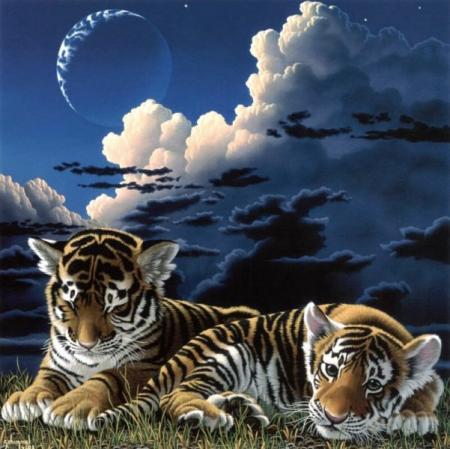 Bébés tigres