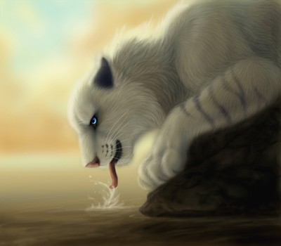 Tigre blanc