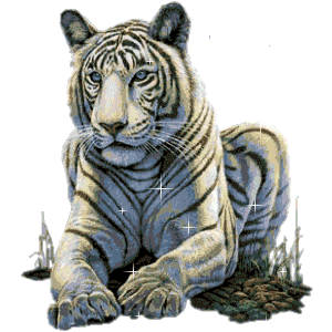 Tigre blanc scintillant