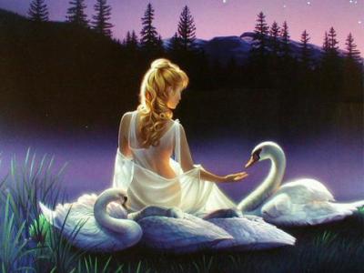 SwannHeart