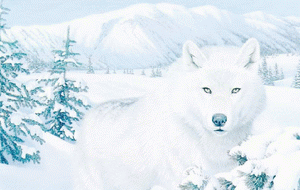 Le loup blanc