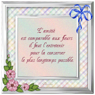L'amitié est....