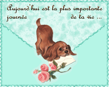 Citation