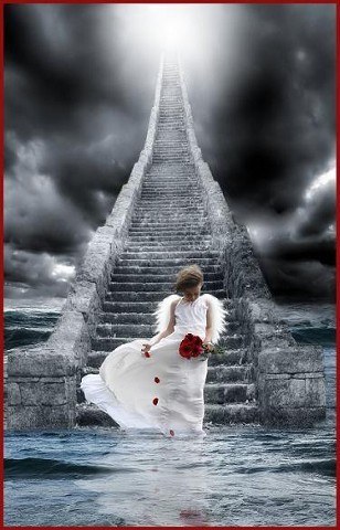 Aller au paradis......