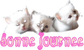 Bonne journée a tous