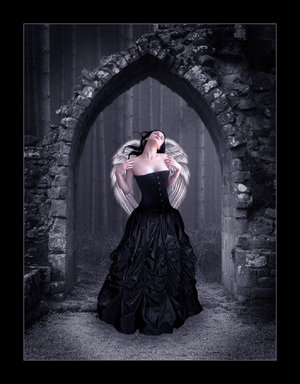 Belle Ange